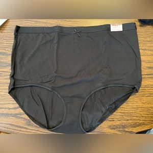 Lane Bryant Cotton High-Waist Brief Panty With Wide Waistband 22/24 NWT